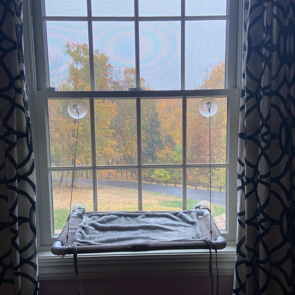 COPY - Suction Cup Cat Window Perch